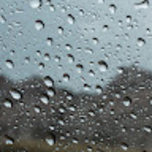 Meet your Posher, Lily